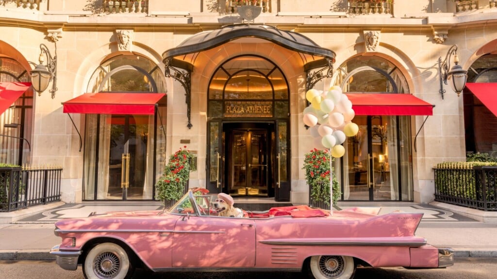 照片d一个金毛猎犬奶油用半月形de soleil et贝雷帽玫瑰,在一个车辆收集公开原先玫瑰,缆车是l开始l Athenee 'Hotel广场,巴黎。