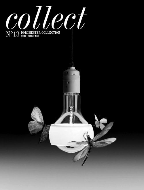 在《收藏》杂志封面上，飞蛾和蜻蜓聚集在一个灯泡上