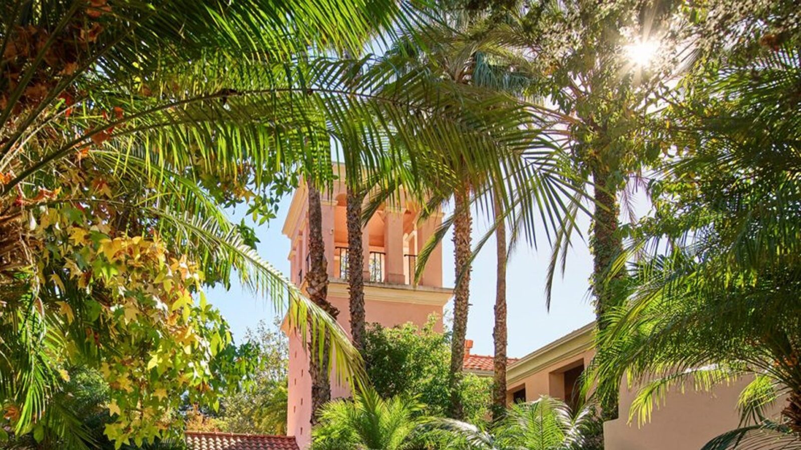 贝尔艾尔酒店的秘密视角，通过异国情调的棕榈树拍摄