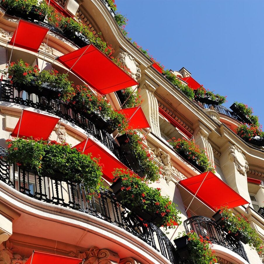 巴黎广场雅典娜酒店的外部阳台和天竺葵