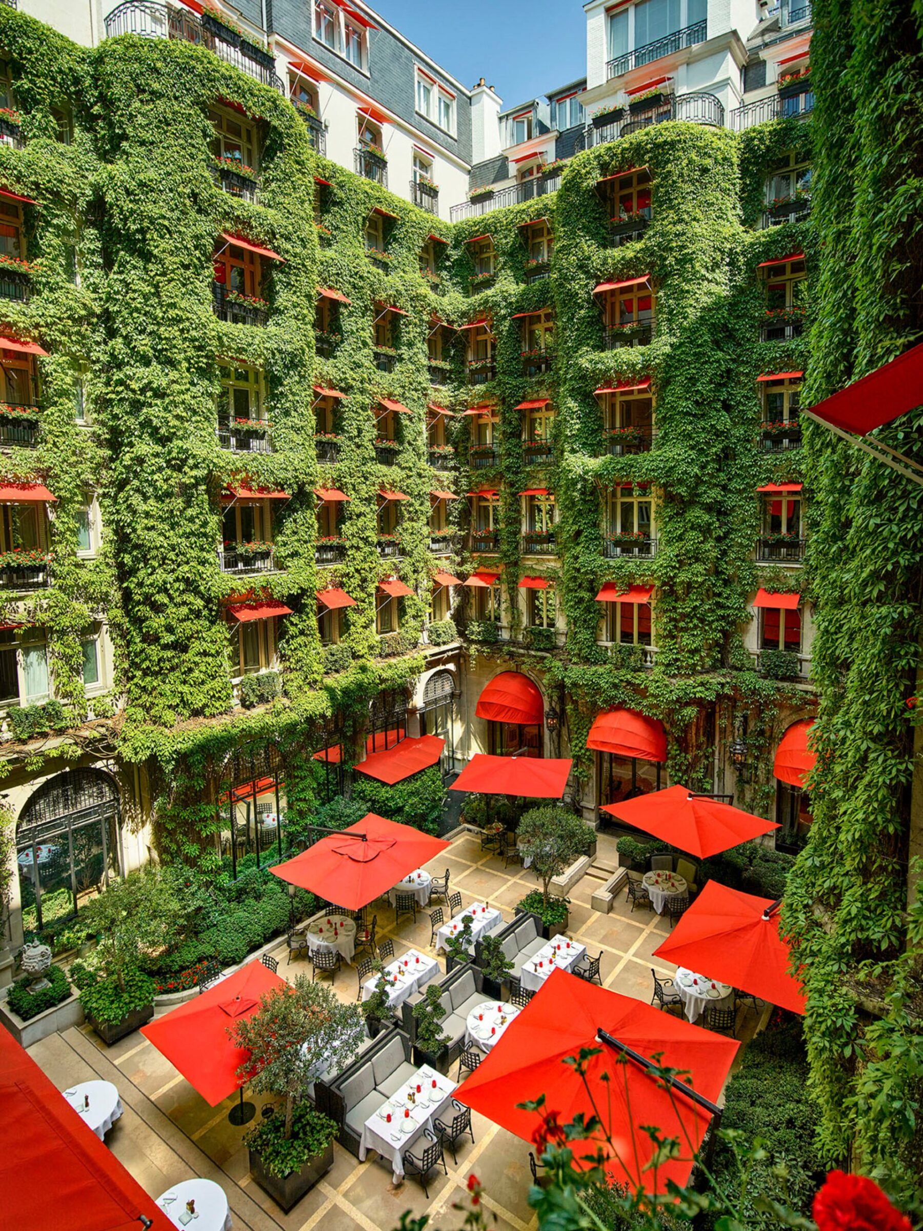La Cour花园庭院绿色藤蔓，红色遮阳篷和遮阳伞从房间窗户看，在酒店广场Athénée，巴黎