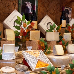 这张照片展示了来自巴黎最好的奶酪商之一的几种不同类型的奶酪