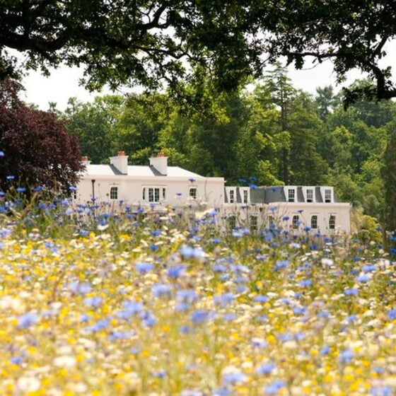 Meadow in Coworth Park Hotel Ascot