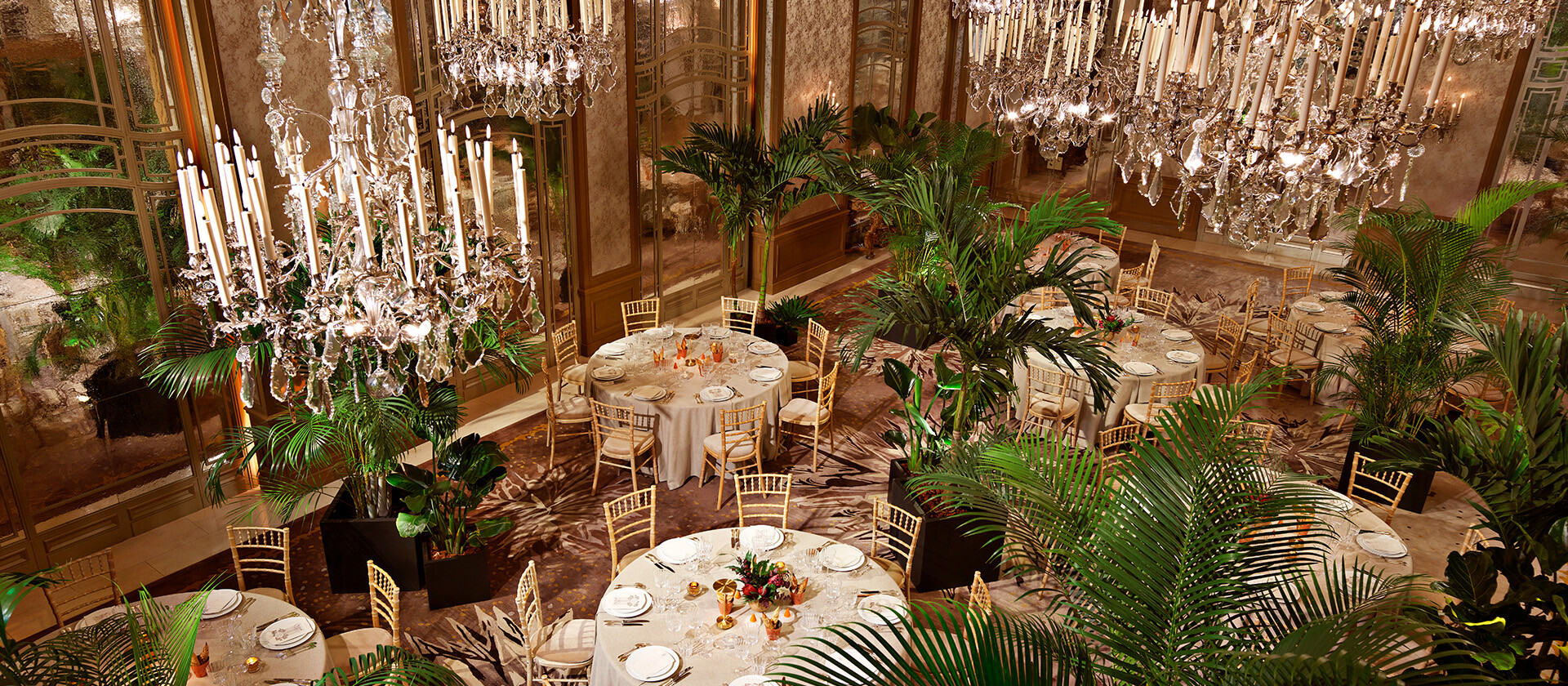 晚餐是在Le Salon高级定制餐厅(Hôtel Plaza Athénée, Paris - Dorchester Collection)拍摄的圆桌和棕榈树。bob手机网页版官网