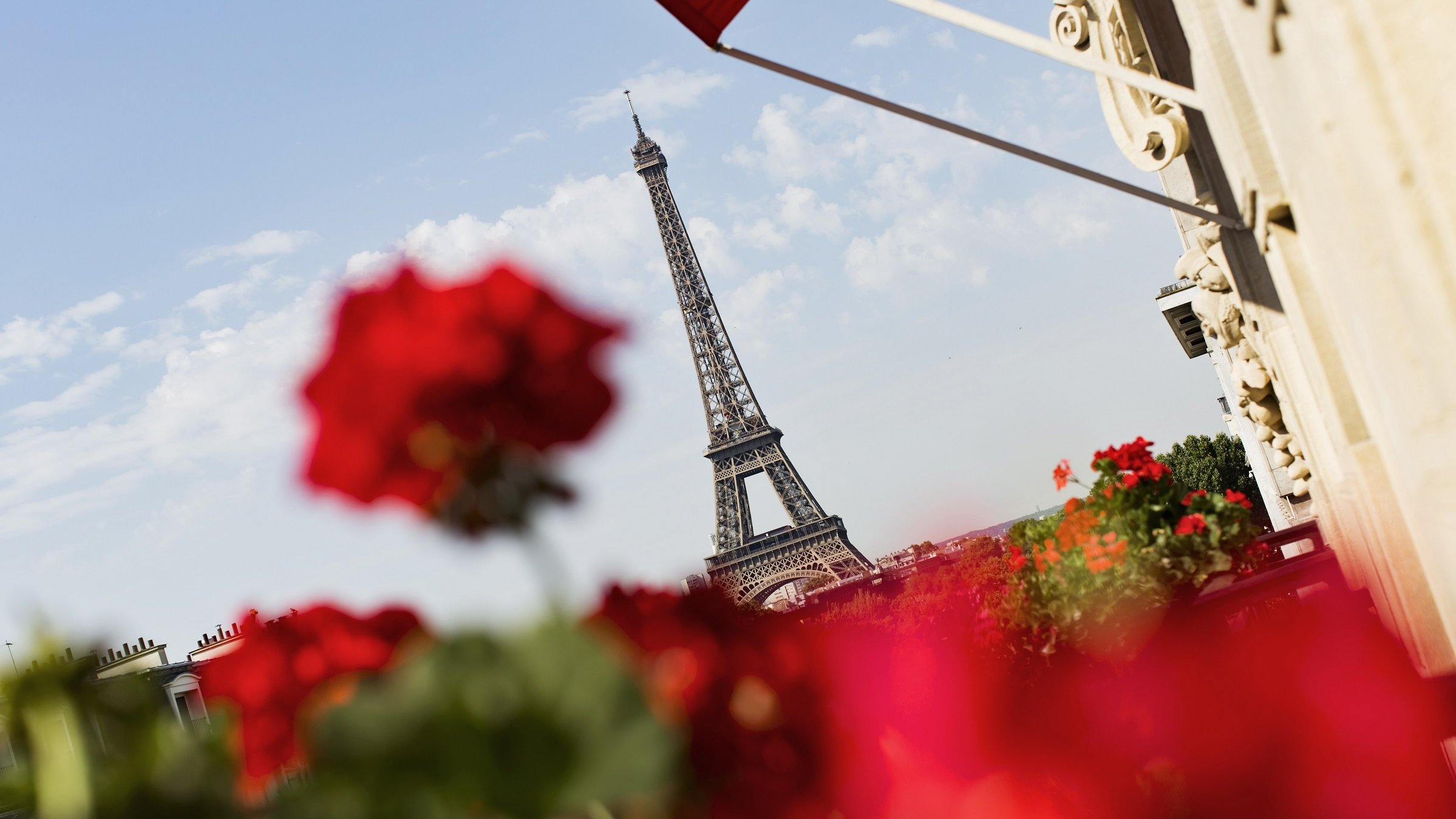 View of Eiffel Tower and geraniums Hotel Plaza Athenee Paris